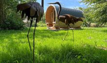 Mönchguter Ferienhaus unterm Reetdach mit Kamin