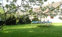 Tramplolin für groß und klein