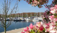Der idyllische Hafen des Ostseebads.