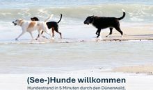 Perfekt für Hunde, direkt am Waldrand, Hundestrand 5 Minuten zu Fuß