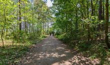 Weg zum Strand durch den Küstenwald von der Villa Wahnfried,  Thiessow auf der Halbinsel Mönchgut