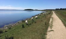 Strand der Ostsee