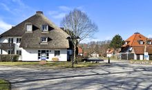 Kormoransiedlung