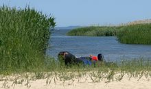 Ferienwohnung Ostwind am Strand