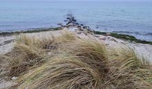 FeWo Thule Poel an der Ostsee - ABC368 - nur Feriengäste!