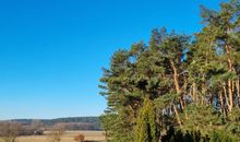Ferienhaus  Köhler Am Walde incl. Bootsvermietung/ Urlaub mit Hund