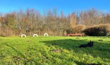 Garten/ Spielbereich/ Agility Platz