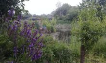 Natur pur
