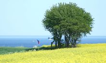 Blick auf die Pensionsanlage mit Vorder- und Hinterhaus