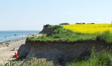 Schönhagens Steilküste