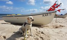 Unsere Camira am Strand