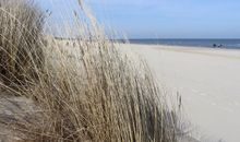 Der herrliche Ostseestrand