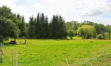Ferienhaus Güstelitz mit viel Natur