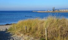 Strand Glowe