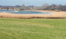 Naturschutzgebiet Schwansener See
