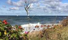 Ostsee mit Steilküste in Rerik