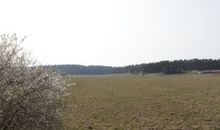 Blick durch Giebelfenster auf die Weide