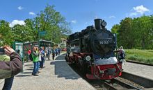schöne Ferienwohnungen an der Granitz