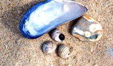 Strand direkt vor der Tür