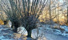 Natur entdecken