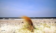 Der Strand direkt vorm Haus
