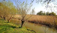 Im Garten