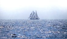 Blick aufs Meer