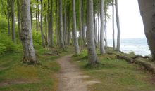 Fußweg an der Steilküste