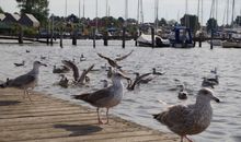 Hafen