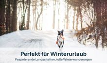 Ideal für Winterurlaub!