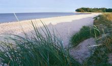 Strandabschnitt