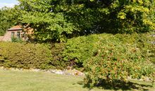seitlich Blick in den Wald