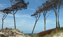 Darßer Weststrand
