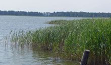 Bodden