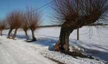 Winter in Wustrow
