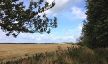 Blick übers Feld zum Leuchtturm