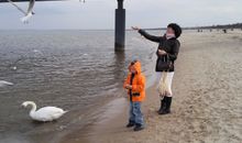 Möwen füttern  auf Usedom