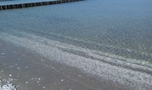 Pension mit Frühstück im Ostseebad Sellin