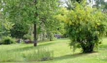 Gartenansicht