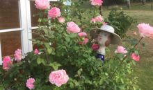 Gartenimpressionen