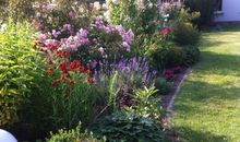 Gartenimpressionen