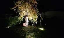 Garten bei Nacht, illuminierter und sehr idyllischer Garten