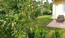 Schön angelegter Garten mit Bäumen, Zaun und Sträuchern auf drei Seiten, eine Seite mit Eibenhecke, viele Obstbäume