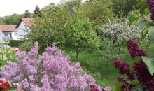 Blick aus der Villa auf die Wohnungen Am Küstenwald