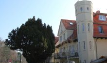 Ferienhaus mit Terrasse am Heideweg