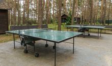 Tischtennisplatten