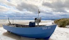 Die großzügig angelegte Außenanlage