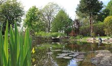 Sitzecke im Garten