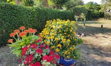 Garten Impression - großes parkähnliches Grundstück