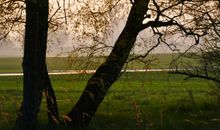 Idylle auf dem Grundstück